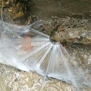 积玉口镇消防管道漏水检测